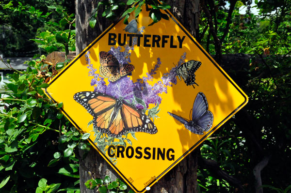 Butterfly crossing sign
